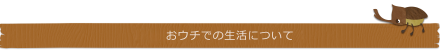 おウチでの生活について